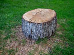 Best Lawn Grading and Leveling  in Juneau, WI
