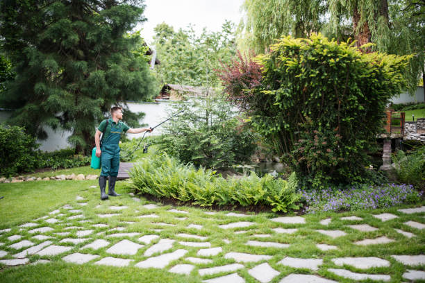 Best Pest Control for Lawns  in Juneau, WI